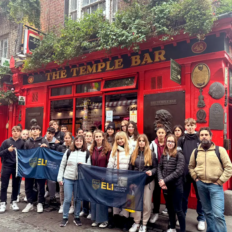 800x800 Dublin City Challenge The Ultimate Learning Quest